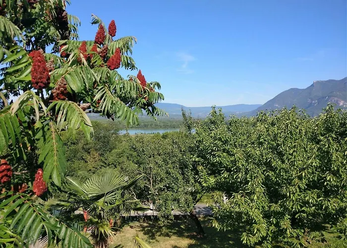 Le Belvue Oda ve Kahvaltı 3*
