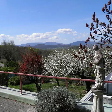 Le Belvue Bed & Breakfast *