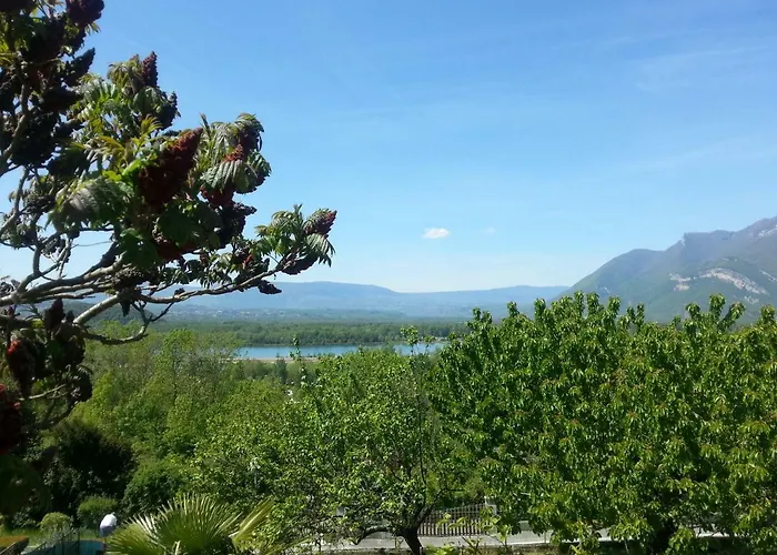 贝尔舞住宿加早餐旅馆 沙纳兹